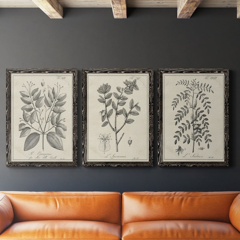 Antique Black & White Botanical VII-Premium Framed Canvas - Ready to Hang - Multi-Color