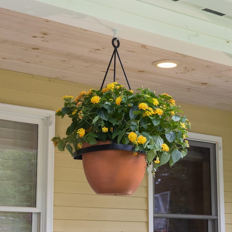 Achla Designs 28"H Black Wrought Iron Lina Hanging Planter w/ Burnt Sienna Galvanized Steel Pot