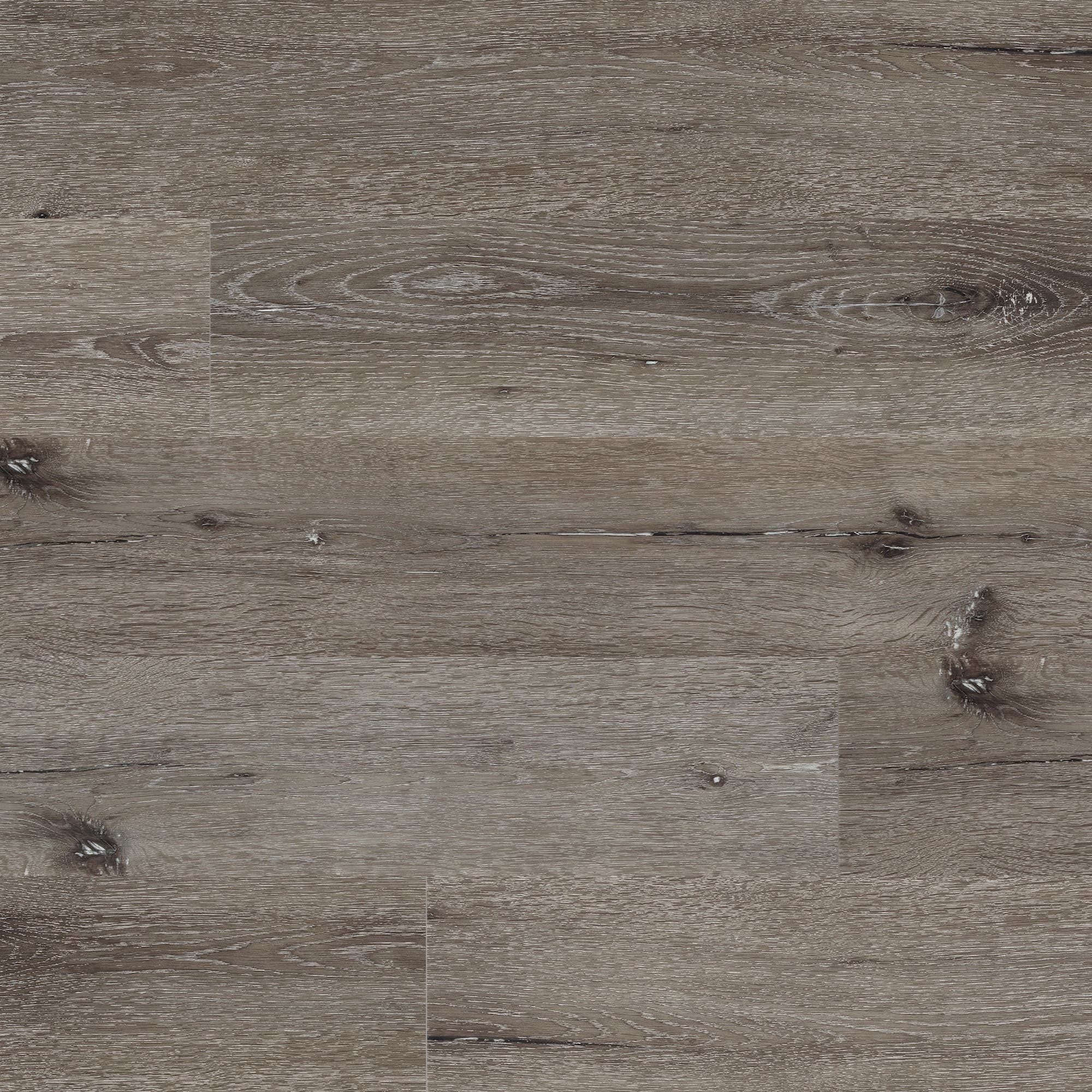 Option Eastern Ash