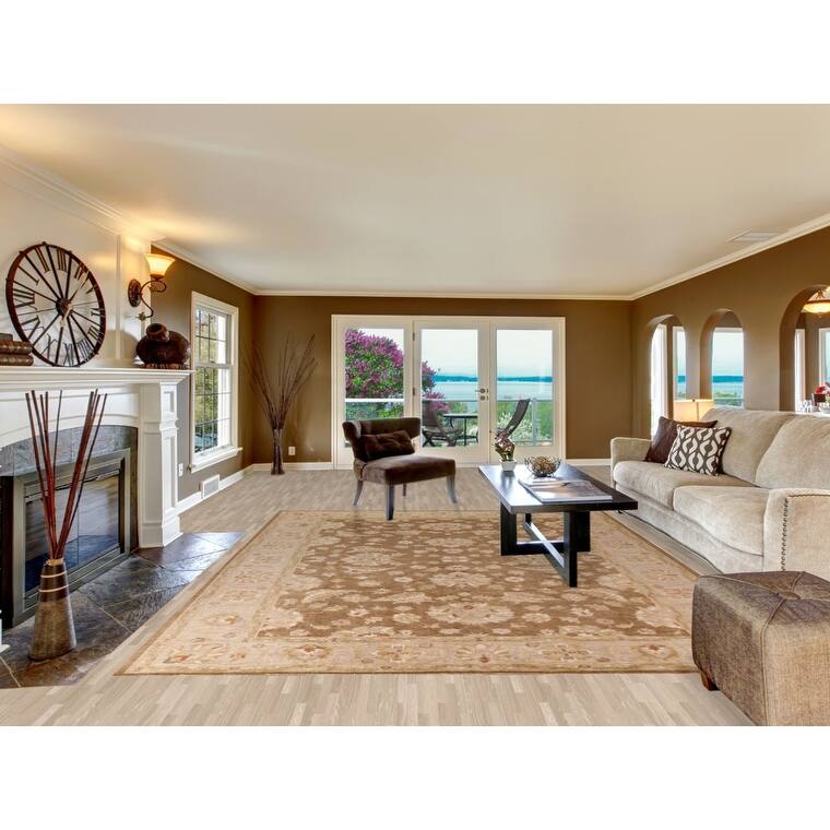 Vegetable Dye Brown Peshawar Oriental Area Rug Handmade Wool Carpet - 9'0"x 11'10"