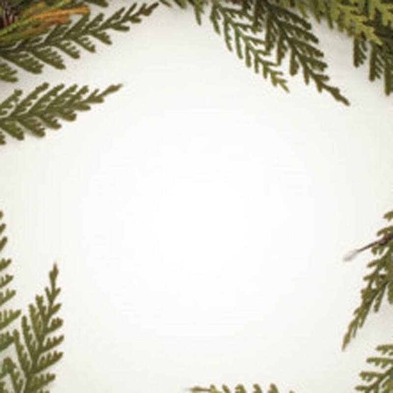 HomeRoots 30" Green And Brown Christmas Pine Artificial Wreath