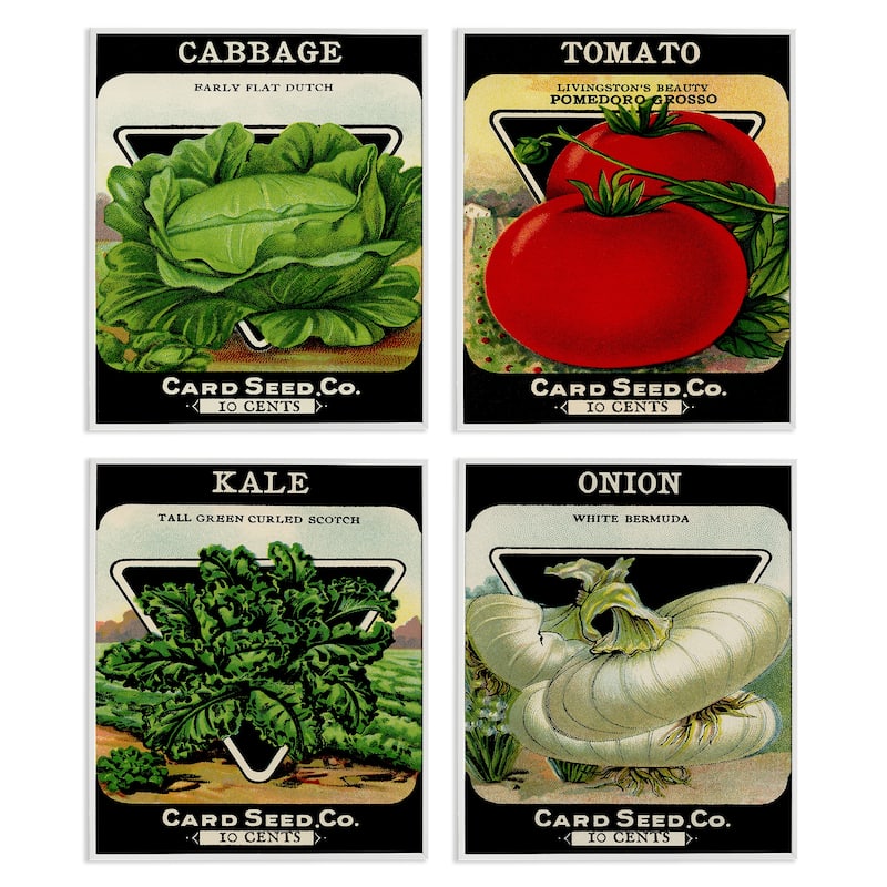 Stupell Vintage Garden Cabbage Framed Giclee Art Design By Lil' Rue (Set of 4) - 11 x 14 - White