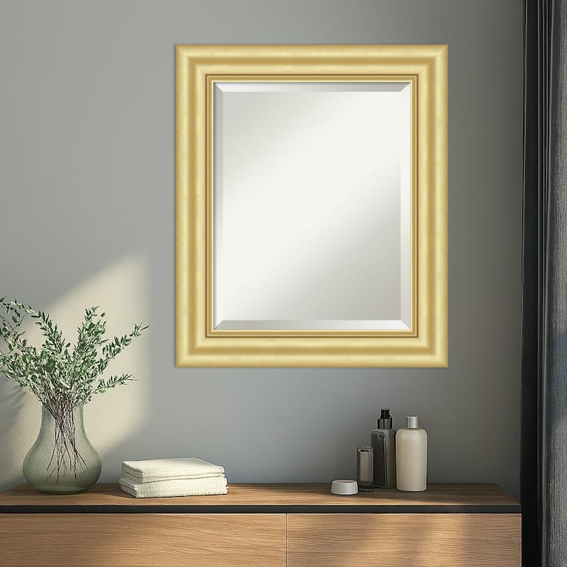 Sophia Beveled Framed Wall Mirror
