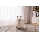 preview thumbnail 5 of 6, Animal Llama Kids Indoor Storage Ottoman