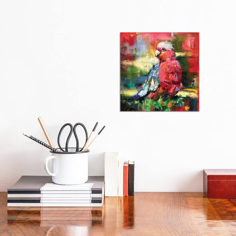 iCanvas "Galah" by Jos Coufreur Canvas Print - 12x12x0.75
