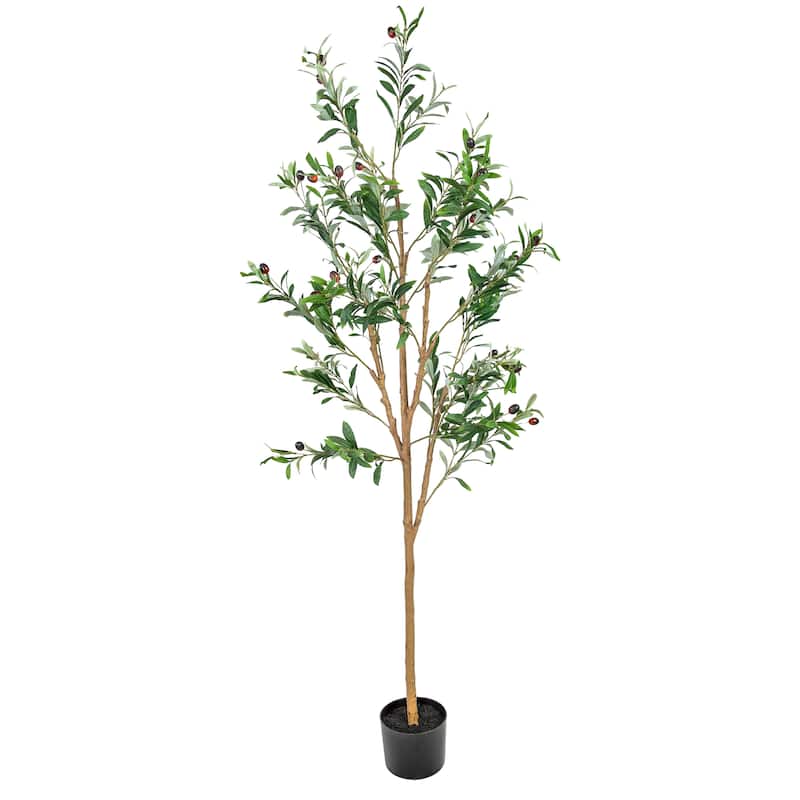 HomeRoots 60" Green Olive Artificial Tree in a Black Pot - 21.00 in. x 60.00 in. x 21.00 in.