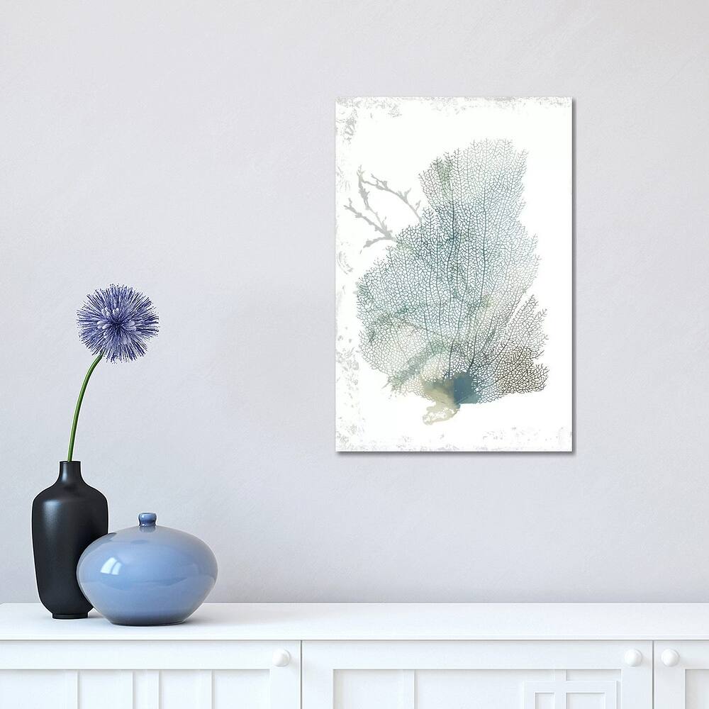 iCanvas "Teal Delicate Coral II " by Aimee Wilson Canvas Print