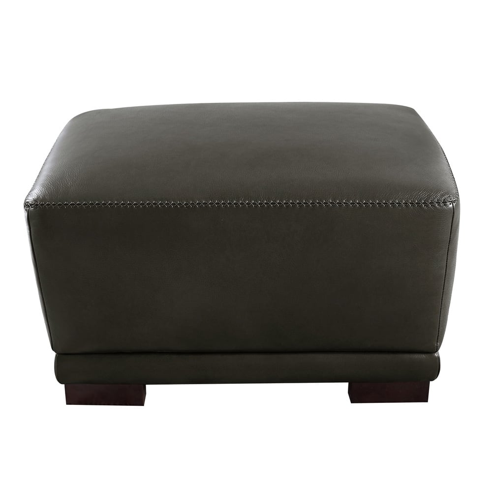 Hydeline Mary Top Grain Leather Chair with Memory Foam and Springs