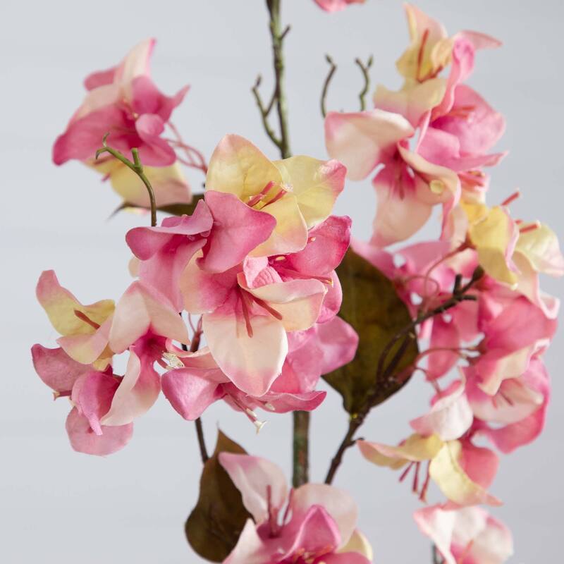 Bougainvillea Floral Stem Sprays - 47" - Pink and Yellow - Set of 3