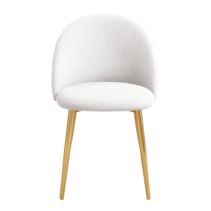 Modern Dining Chair (Set Of 2)