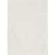 Option Ivory