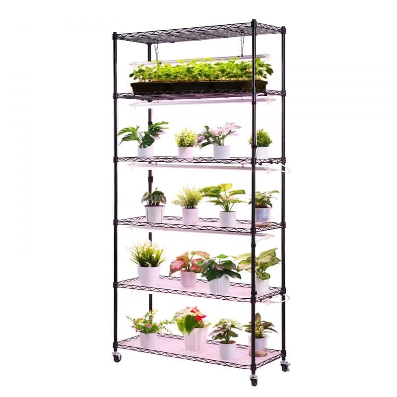 Black Metal 6-Tier Indoor Plant Stand with 5 LED Grow Lights and Timer, 71-Inch Adjustable Shelves on Wheels
