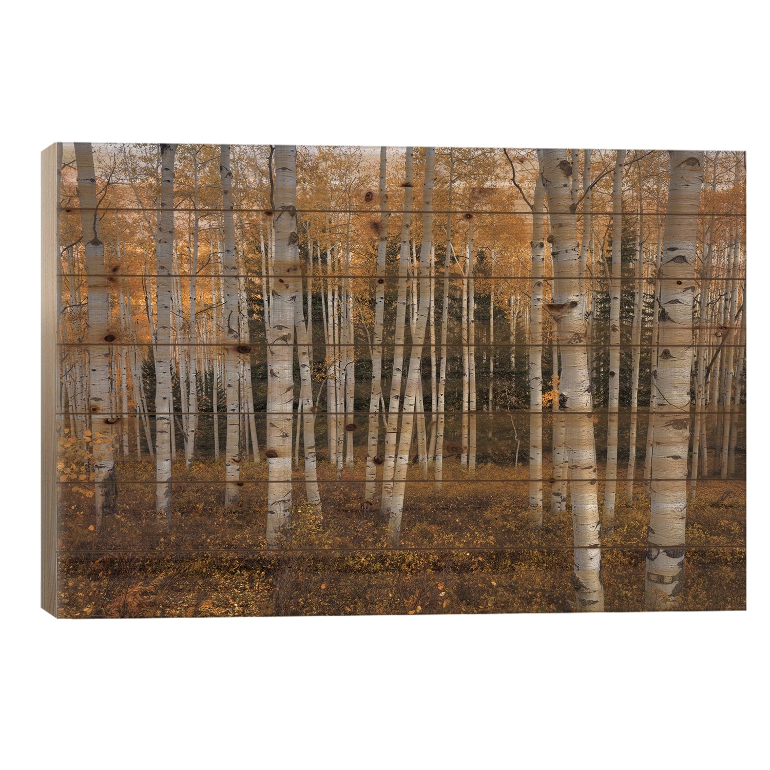 Aspen Forest In Autumn Print On Wood by Bill Sherrell - Multi-Color
