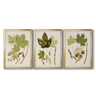 Antique Leaves IV Premium Framed Canvas - Ready to Hang - Multi-Color ...