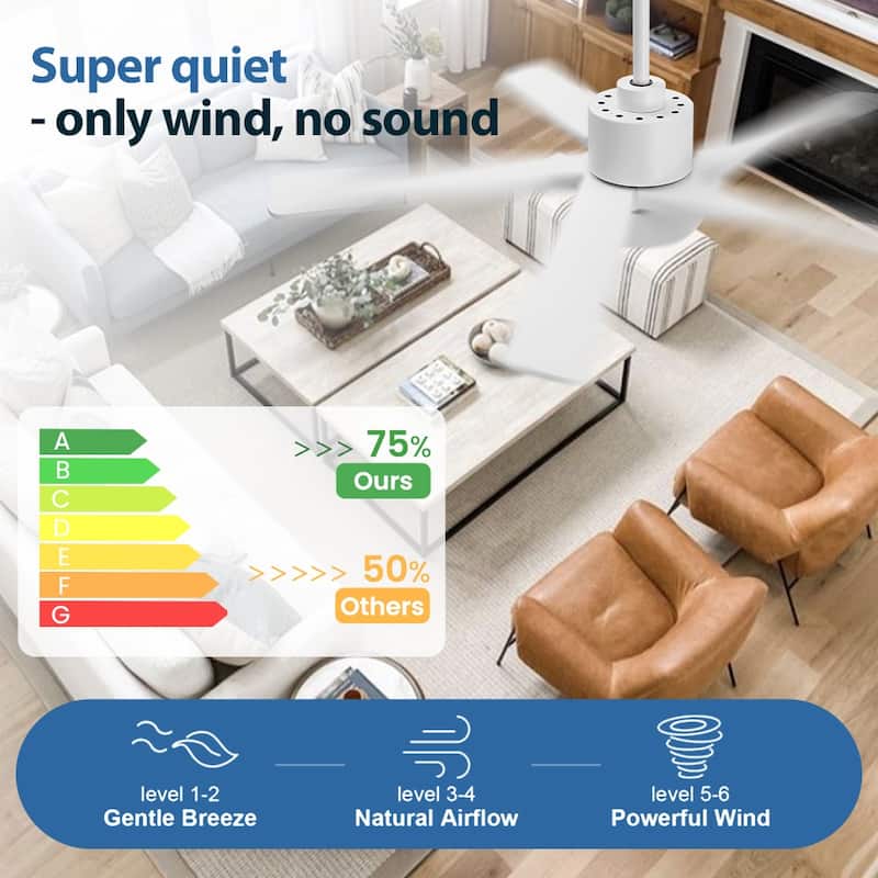 WINGBO 54" and 64" 5 ABS Blades DC Motor Indoor Ceiling Fan with Light & Remote