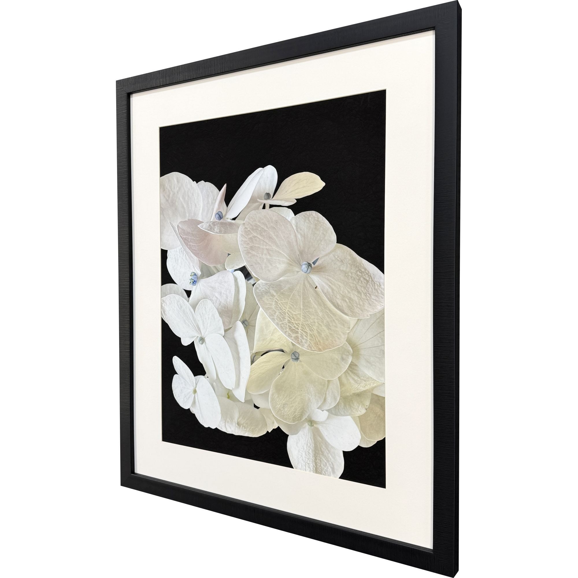 Paragon Modern Hydrangea I Framed Art - Bed Bath & Beyond - 44049584