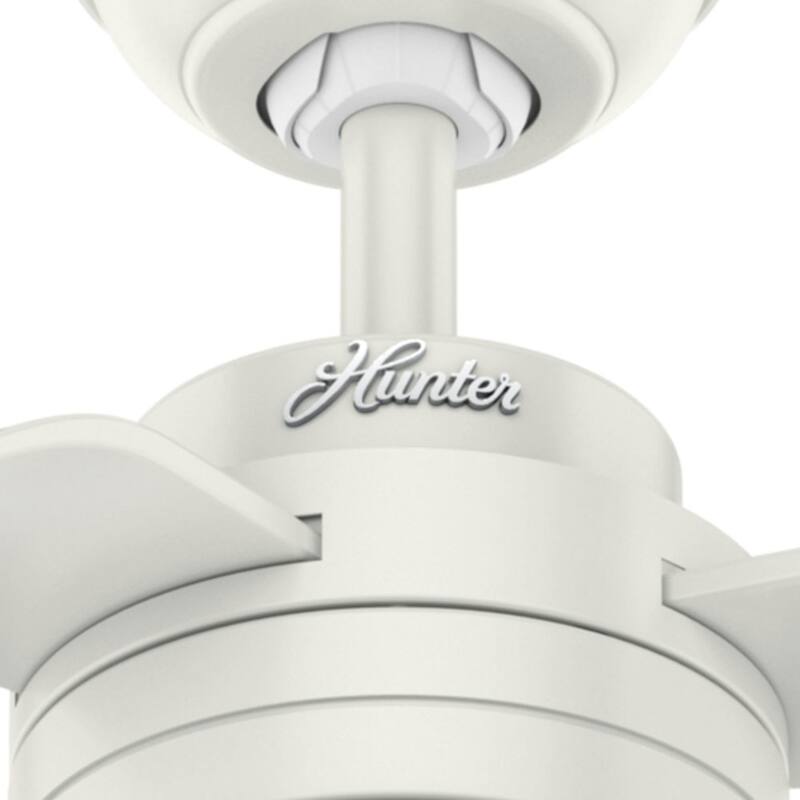 Hunter 52" Cabo Frio Outdoor Ceiling Fan with Wall Control - Modern Industrial - Damp Rated!