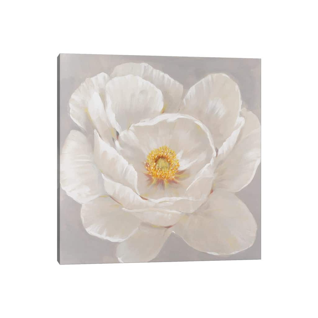 iCanvas "White Peony II" by Tim OToole Canvas Print