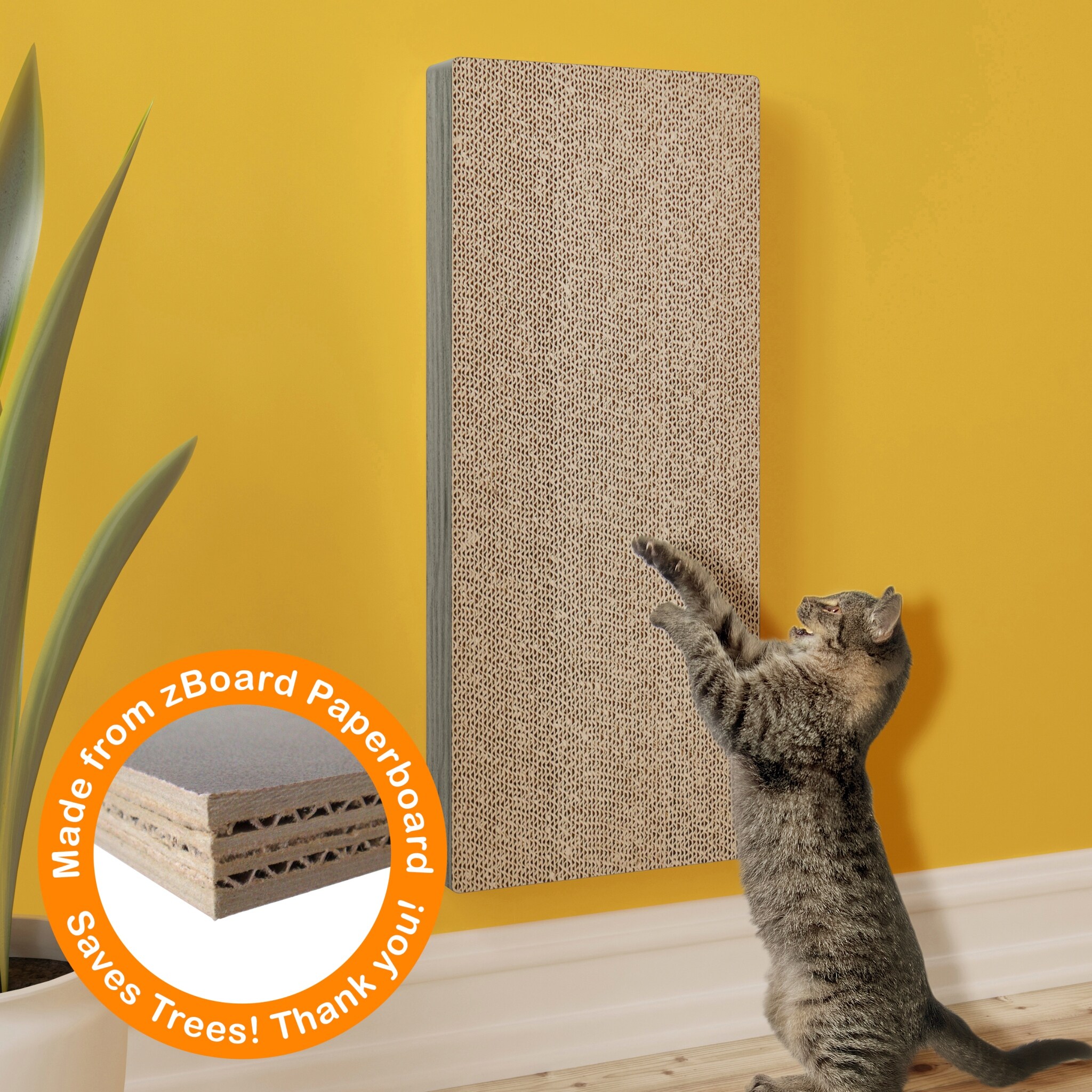 cat scratch pad for wall