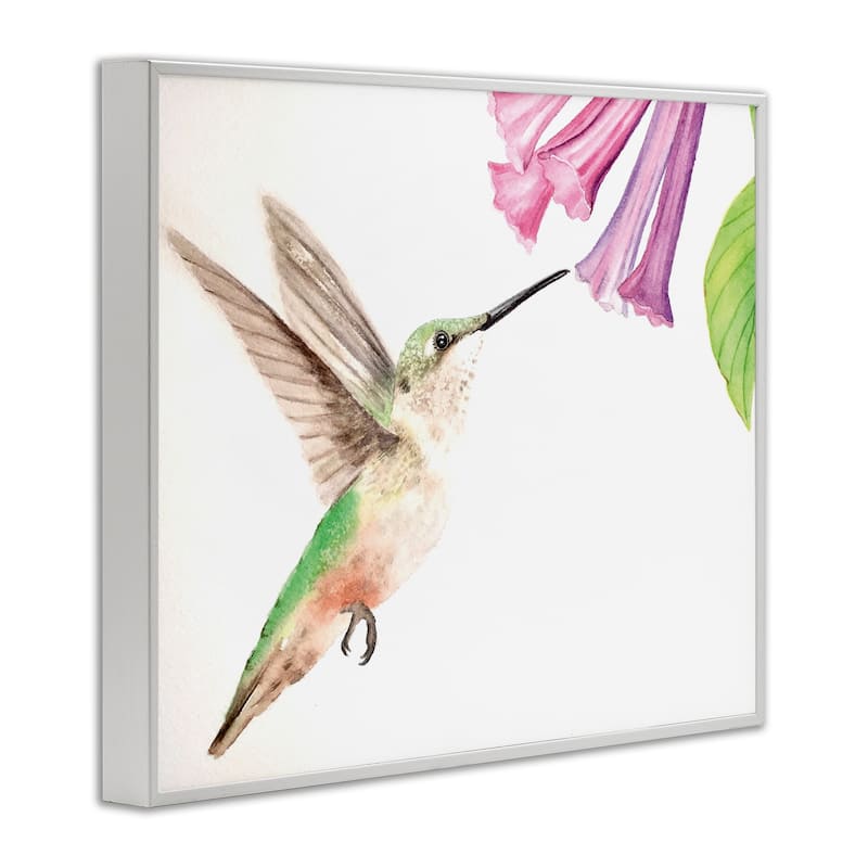 Stupell Hummingbird & Bluebell Flower Framed Giclee Art Design By Stephanie Fielden
