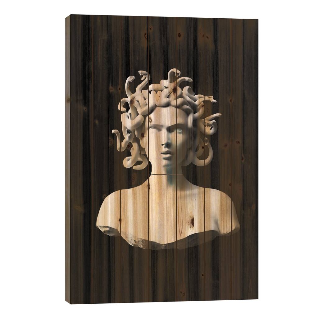 Decontructed Medusa Print On Wood by Underdott Art - Multi-Color