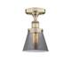 Option Antique Brass / Light Smoke
