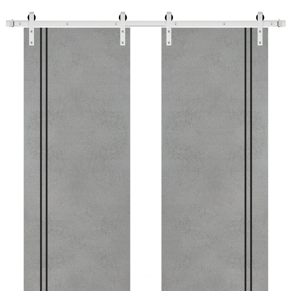 Sturdy Double Barn Door 36 x 80 with Planum 0016 Concrete with 13FT