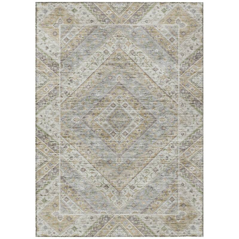 Machine Washable Indoor/Outdoor Traditional Ali Chantille Rug