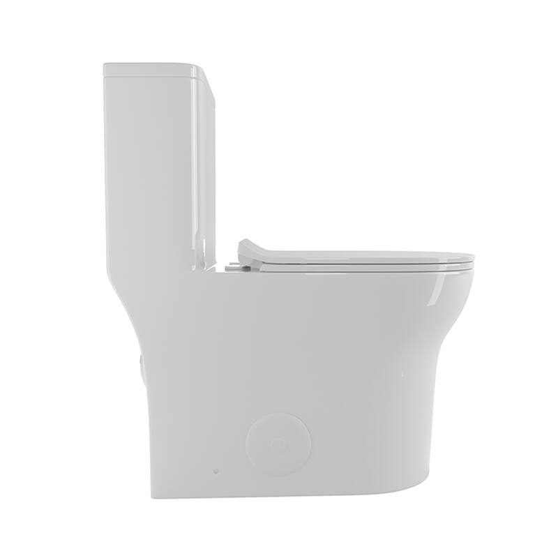 Dual Flush Elongated One-Piece Toilet