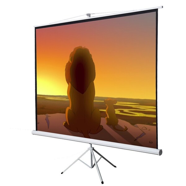 Onebigoutlet 100" Tripod Stand Portable Projection Screen, 70"x70" view