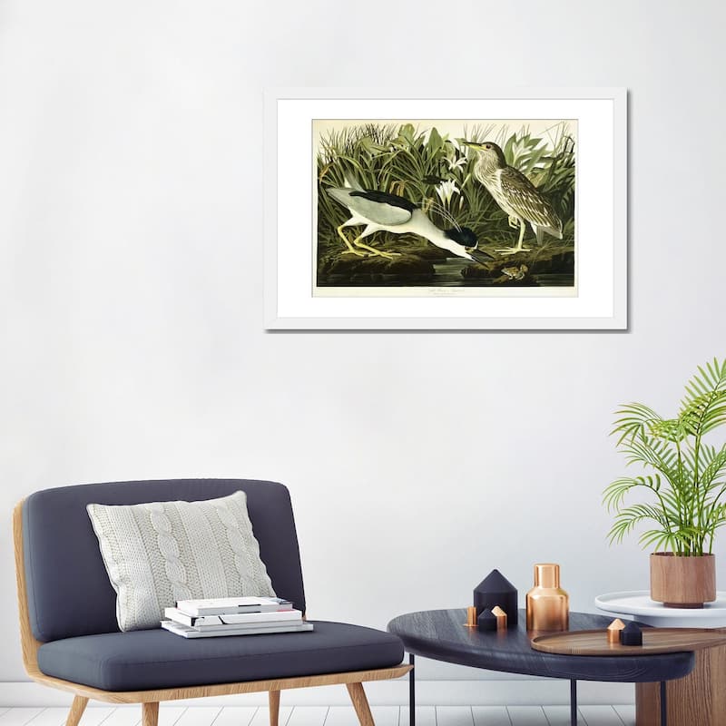 iCanvas "Night Heron or Lua Bird, 1835 " by John James Audubon