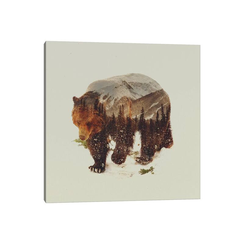 iCanvas "Bear I" by Andreas Lie Canvas Print
