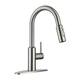 Option Brushed Nickel