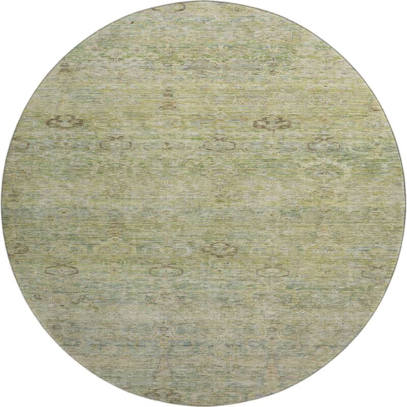 Premium Washable Super Soft Vintage Traditional Mayfield Rug