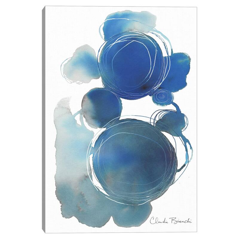 Cosmos by Claudia B Design Canvas Art Print