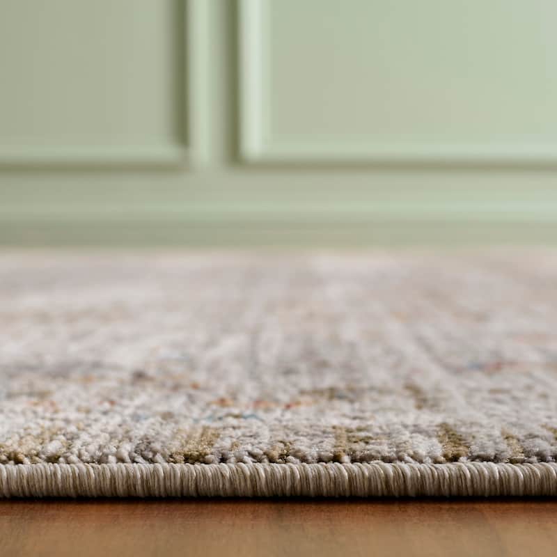 Martha Stewart by SAFAVIEH Roeli Vintage Distressed Rug