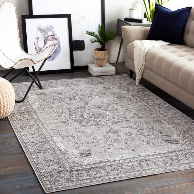 Artistic Weavers Antonie Distressed Updated Traditional Area Rug - 7'10" x 10'2" - Grey