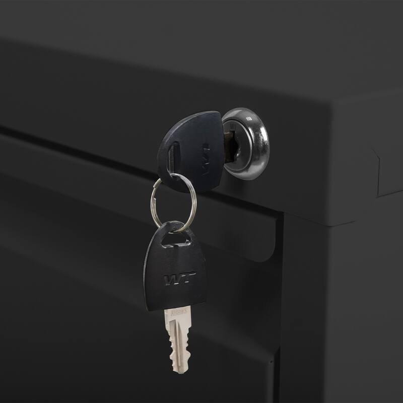 Modern File Cabinet Vertical File Cabinet Heavy Duty Metal Storage Cabinet with 5 Drawers and locks, for Home Offices, Black