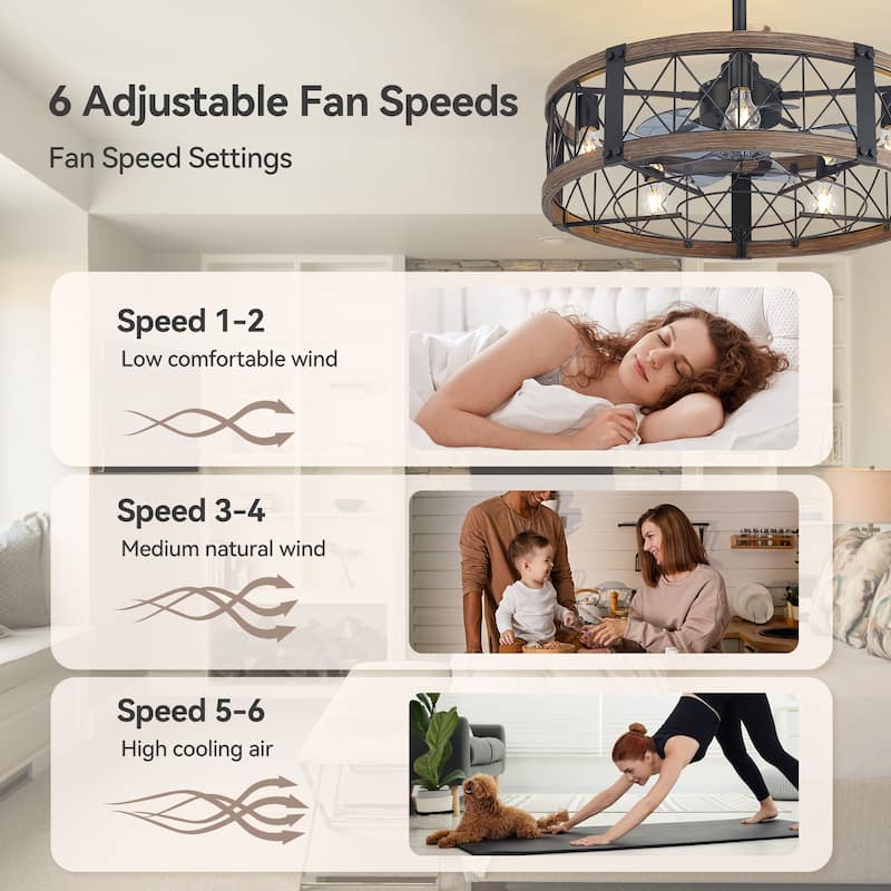 21-In LED Chandelier Ceiling Fan with Light Remote(3-blade)