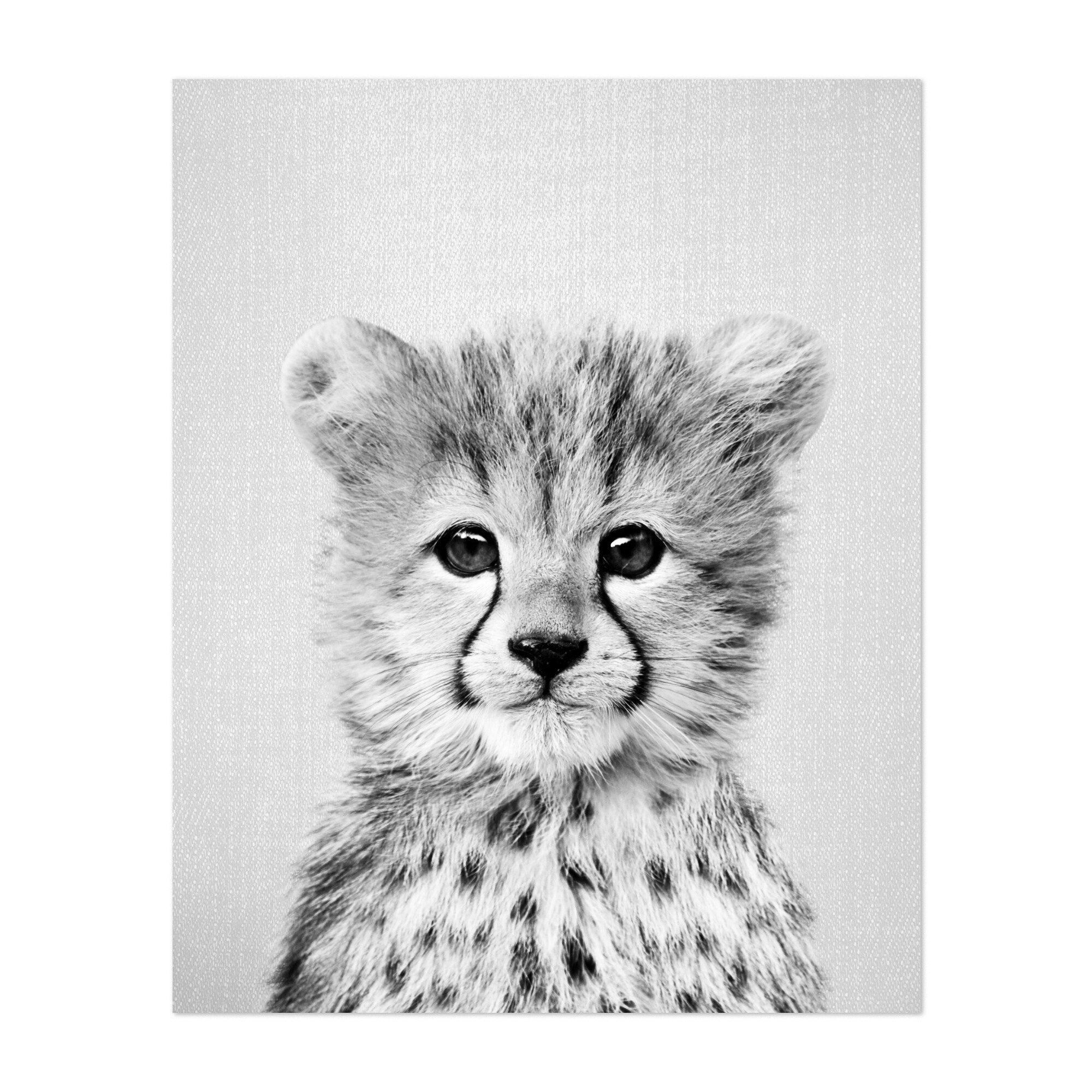 Shop Animals Black White Black And White Cat Unframed Wall Art