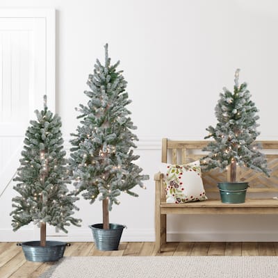 Set of 3 Pre-Lit Slim Flocked Alpine Artificial Christmas Trees 5' - Clear Lights