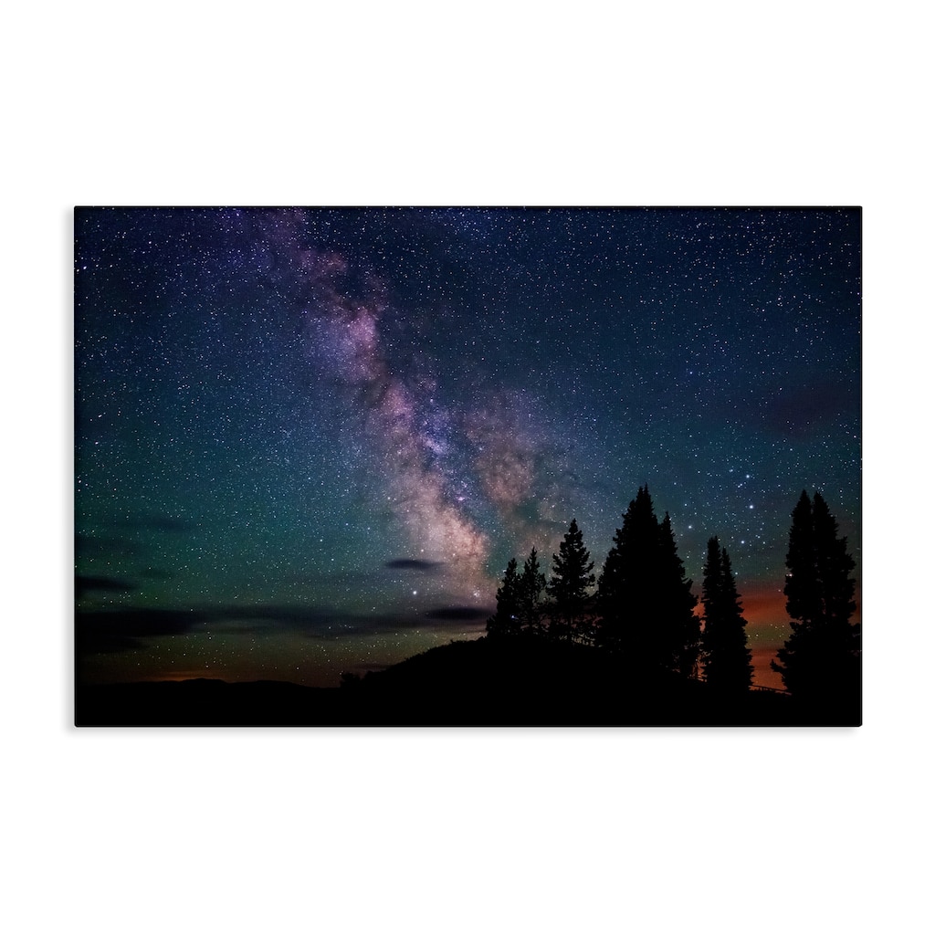 Stupell Silhouetted Forest & Night Sky Canvas Wall Art Design By Royce Bair