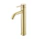 Option Brushed Gold