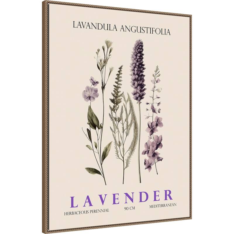 Vintage Botanical Lavender No. 2 Illustration by Christopher Giampietro Framed Canvas Wall Art Print