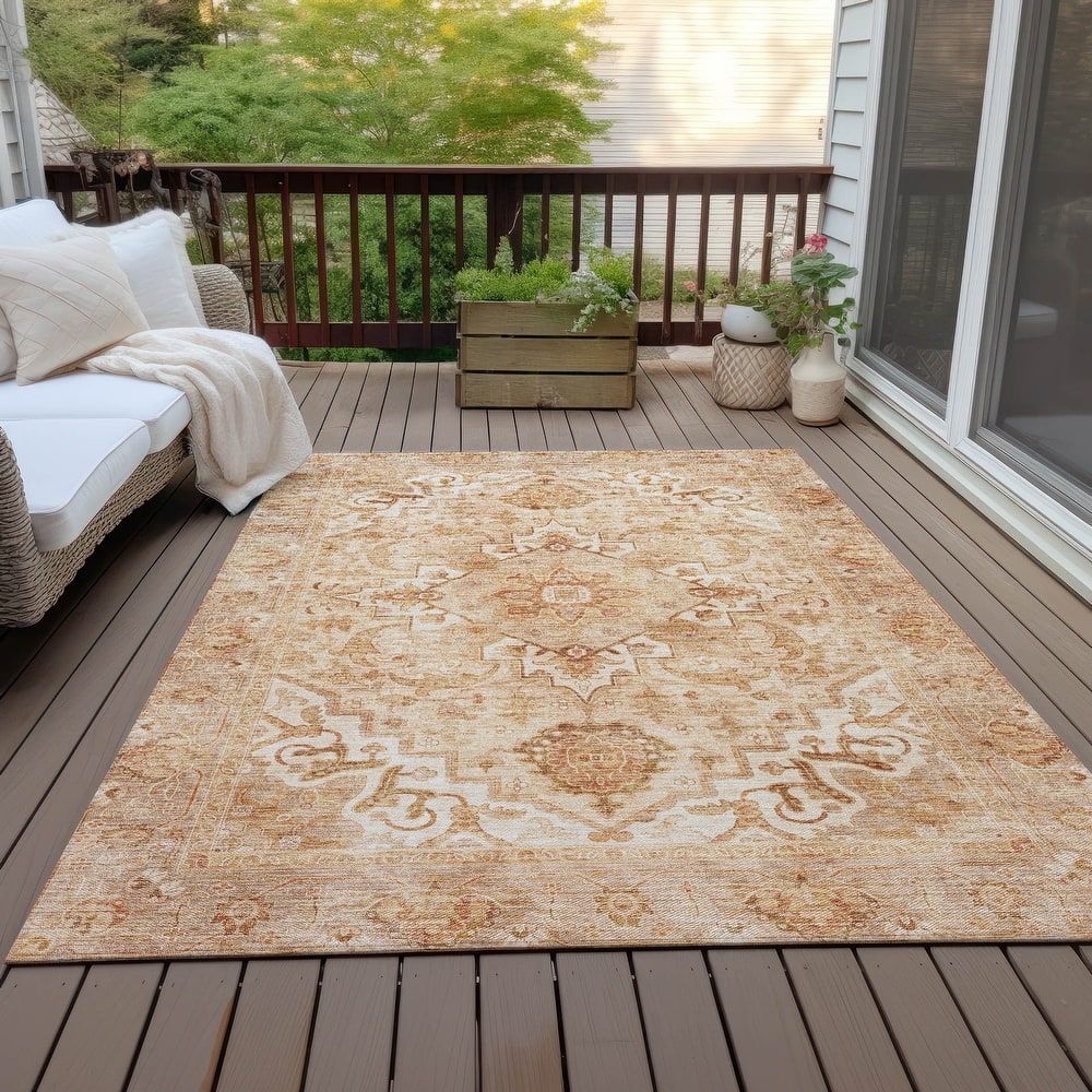 Machine Washable Indoor/Outdoor Traditional Vintage Chantille Rug