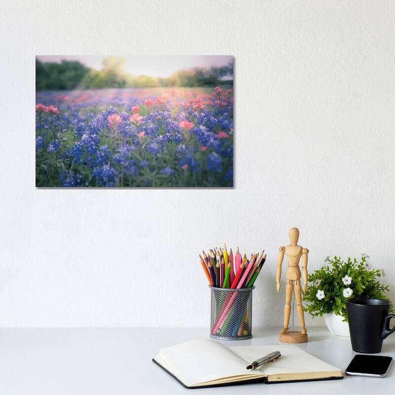 iCanvas "Texas Bluebonnets" by Ann Hudec Canvas Print - 8x12x0.75