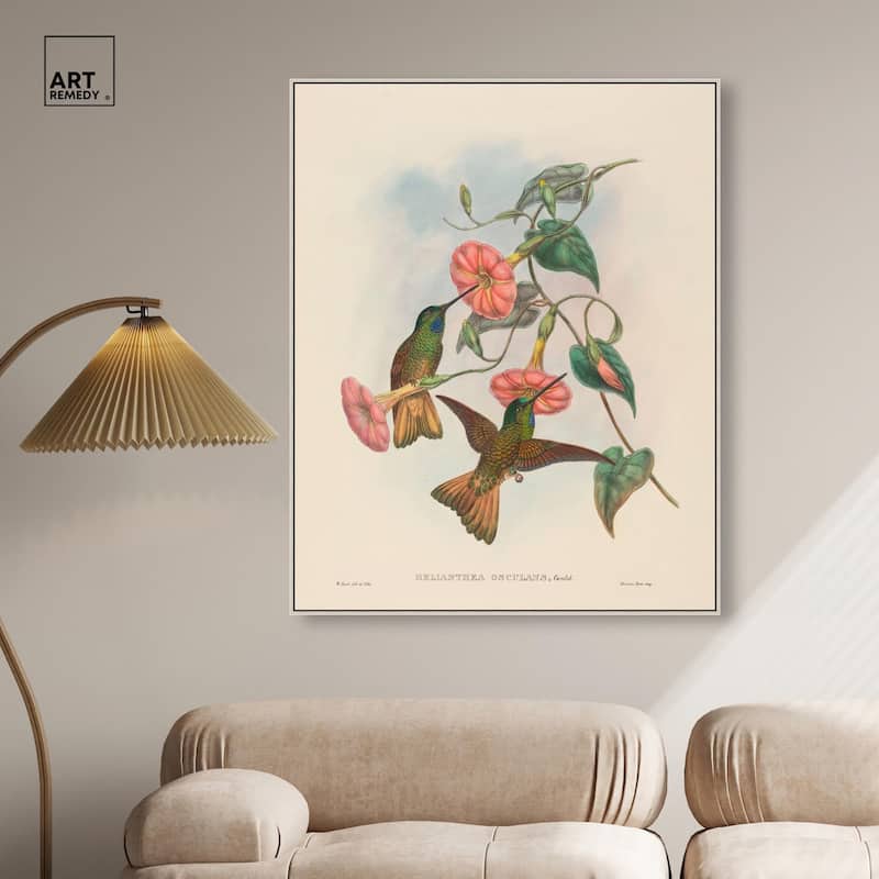 Gould's Hummingbirds Canvas by Art Remedy