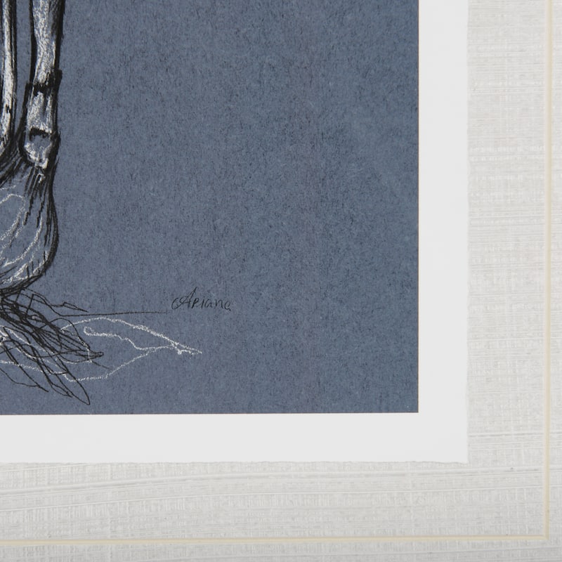 Botanical Sketches II (Blue) Framed Art Print
