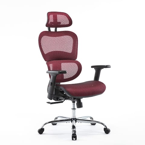 Ergonomic Mesh Executive Chair Home Office Chair with Lumbar Support, Headrest