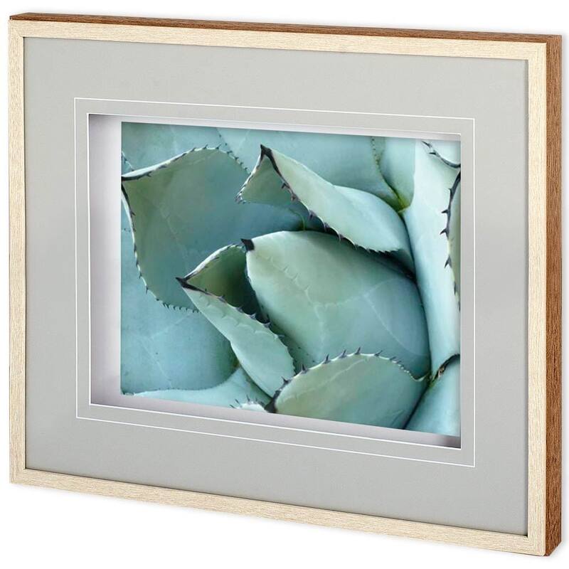 Agave Detail I Framed Art Print
